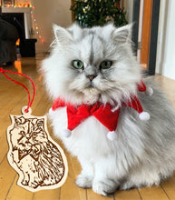 Load image into Gallery viewer, Pets Portrait