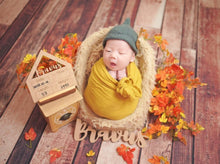 Load image into Gallery viewer, Baby name sign